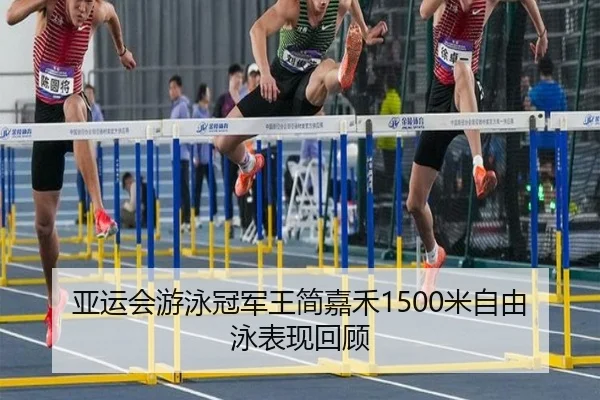 亚运会游泳冠军王简嘉禾1500米自由泳表现回顾 | LEYU SPORTS